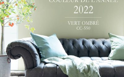 LA COULEUR DE L’ANNÉE 2022 – VERT OMBRÉ CC-550